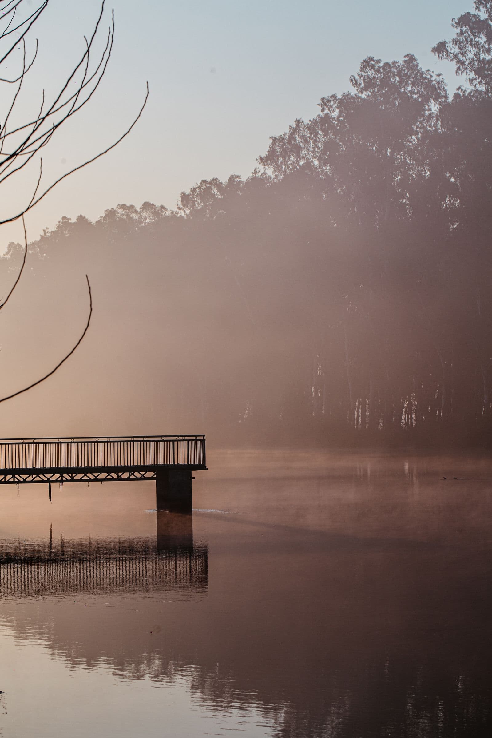 A wooden dock reaching into a misty lake at dawn